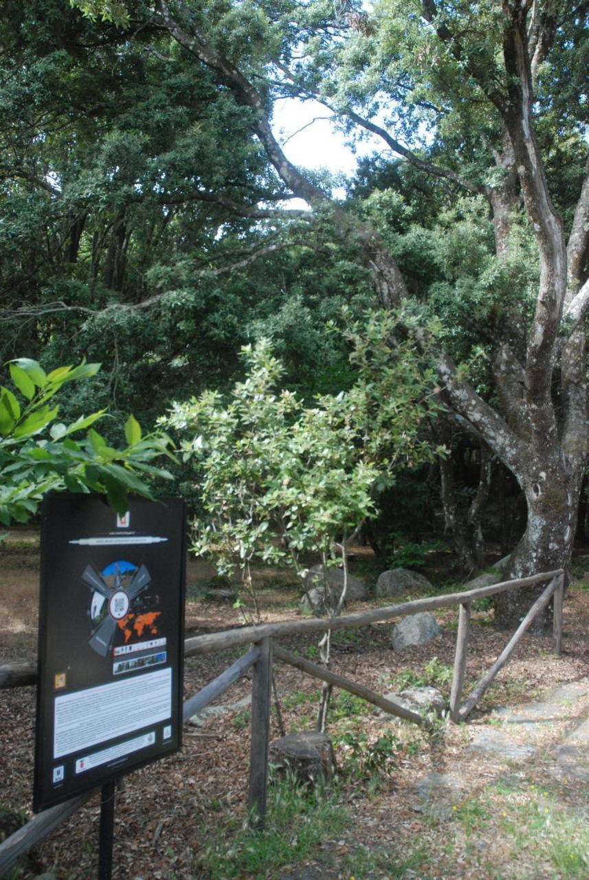 Hotel Bosco Selene Lanusei Luaran gambar